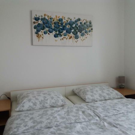 Apartment Hinic Vrhovine エクステリア 写真