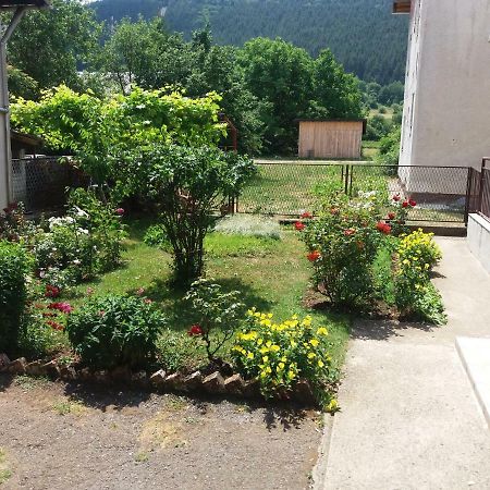 Apartment Hinic Vrhovine エクステリア 写真