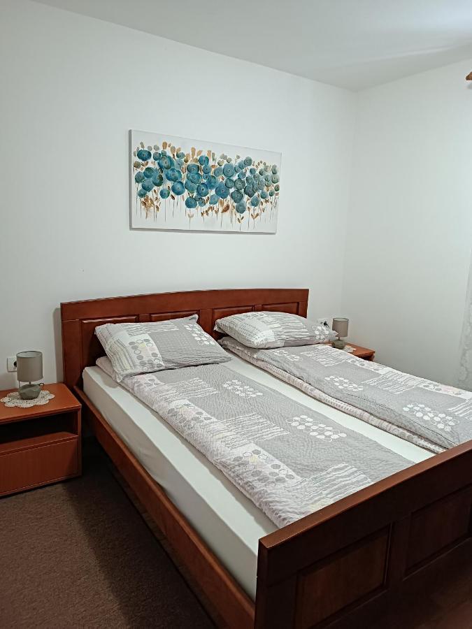 Apartment Hinic Vrhovine エクステリア 写真