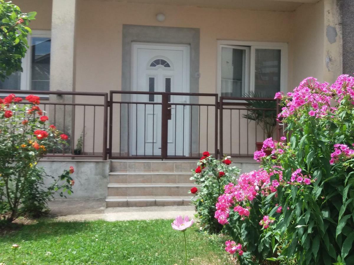Apartment Hinic Vrhovine エクステリア 写真